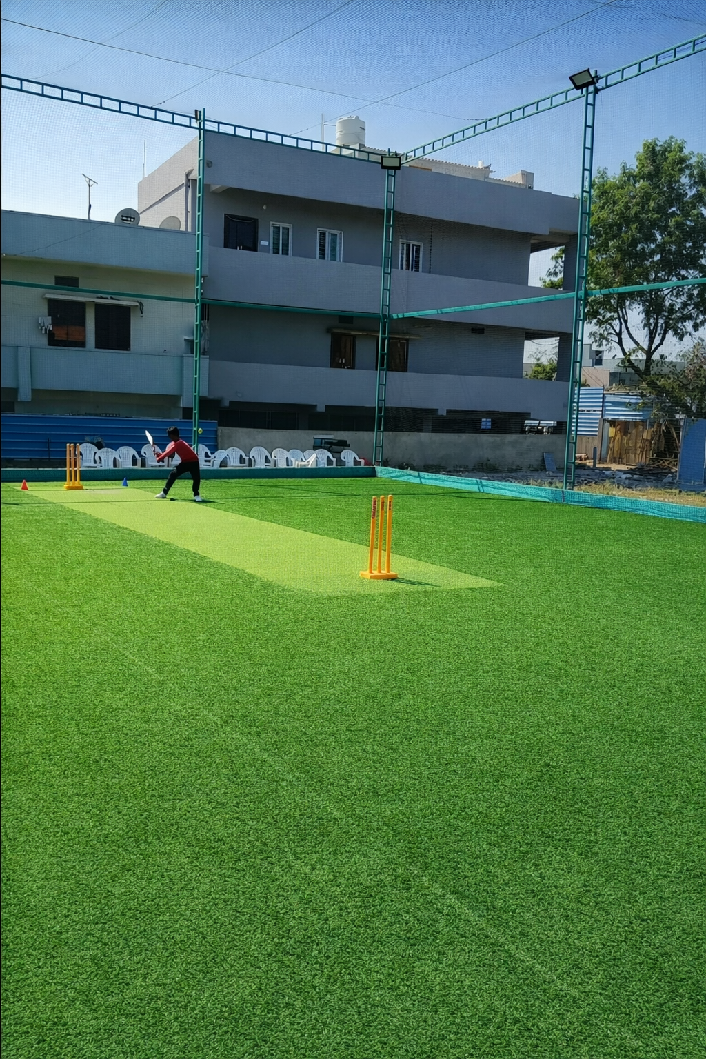 Cricket Action